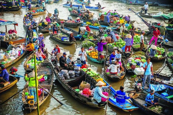 Why Visit the Mekong Delta: An Unmissable Journey for Culture and Nature Enthusiasts