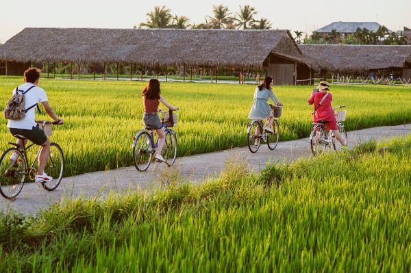 Farming Tours in Vietnam: Become a real farmer