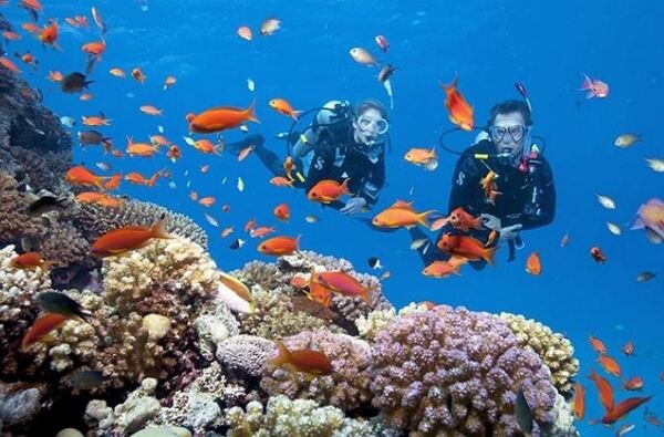 Diving: favorite activity on the island of Hon Mun.