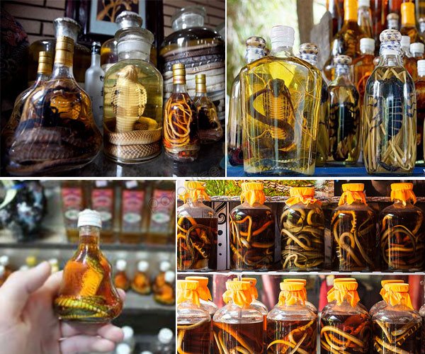 vietnam-souvenir-snake-wine-scorpion-liqour-Paradise-Travel